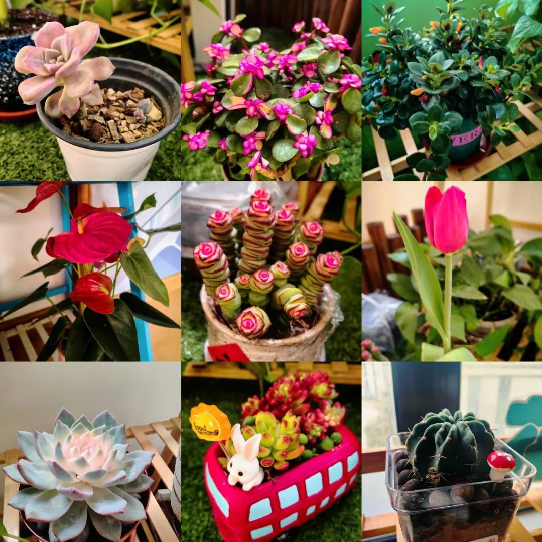 欧博abg(Allbet)官网登录入口