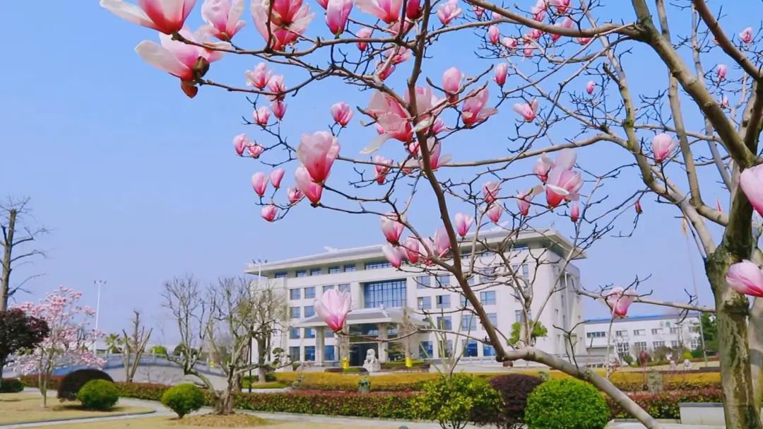 欧博abg(Allbet)官网登录入口