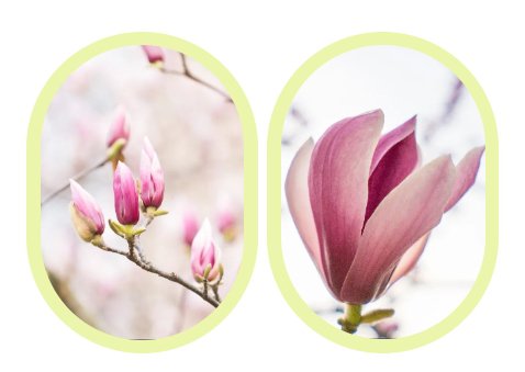 欧博abg(Allbet)官网登录入口