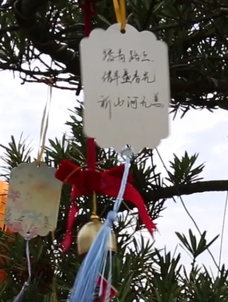 欧博abg(Allbet)官网登录入口