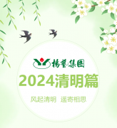 风起清明 遥寄相思|欧博abg集团?2024清明篇