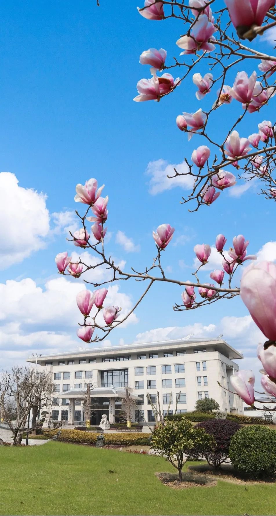 欧博abg(Allbet)官网登录入口