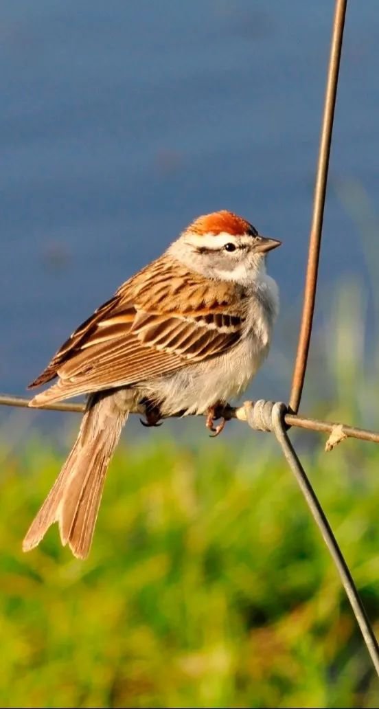 欧博abg(Allbet)官网登录入口