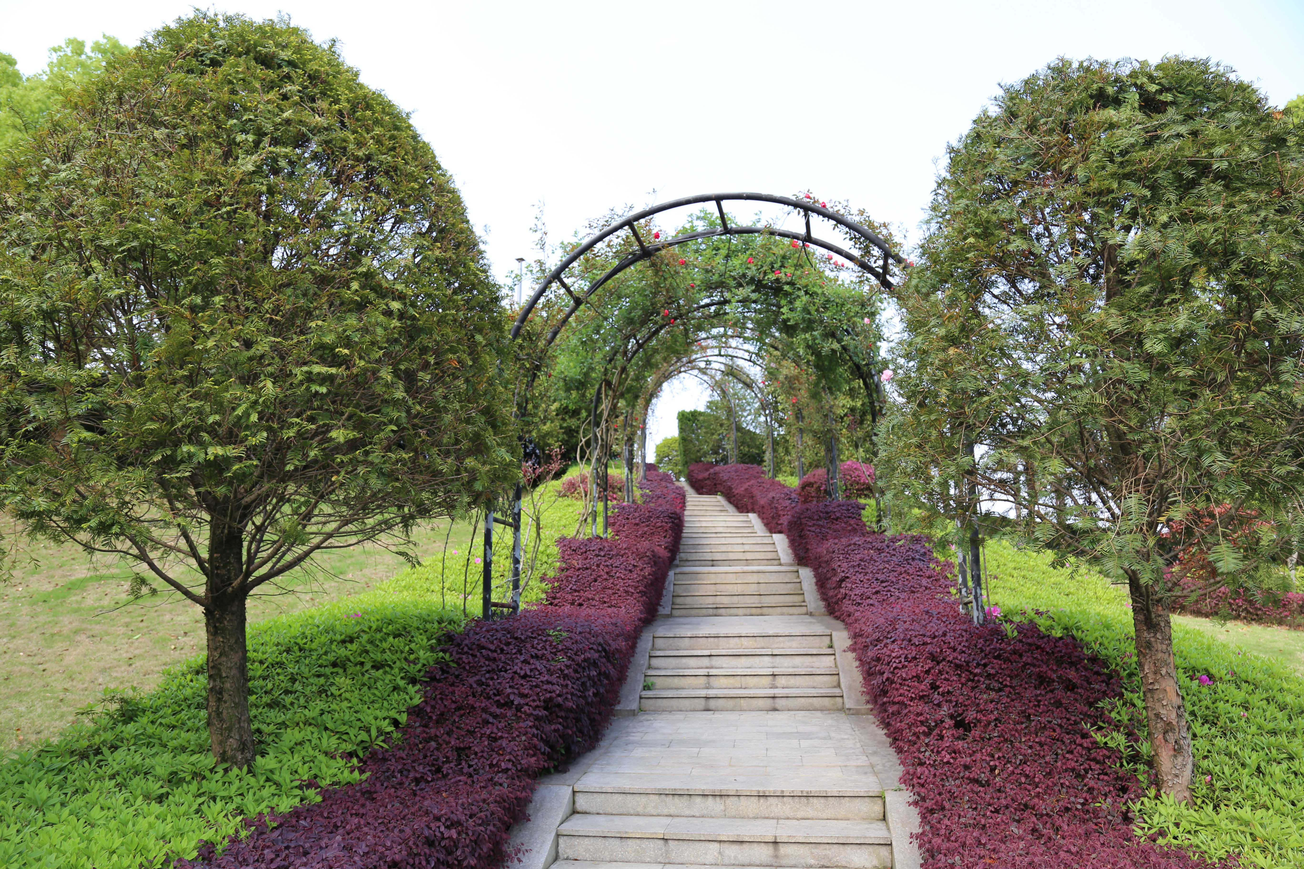 欧博abg(Allbet)官网登录入口