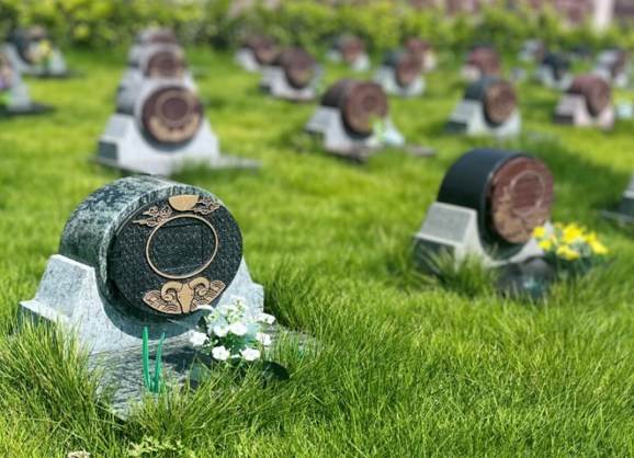 欧博abg(Allbet)官网登录入口