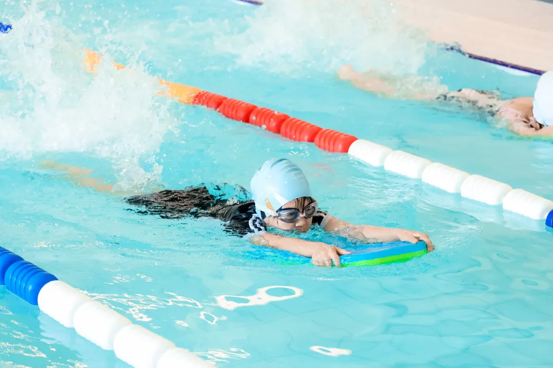 欧博abg(Allbet)官网登录入口