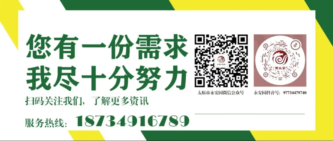 欧博abg(Allbet)官网登录入口