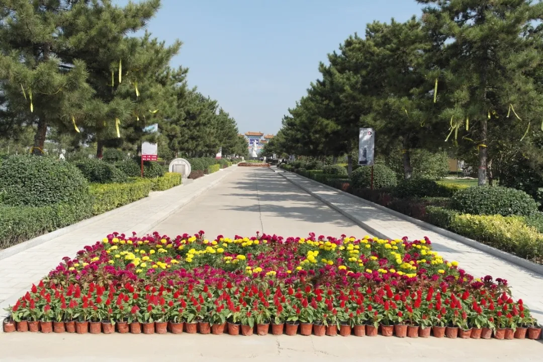 欧博abg(Allbet)官网登录入口