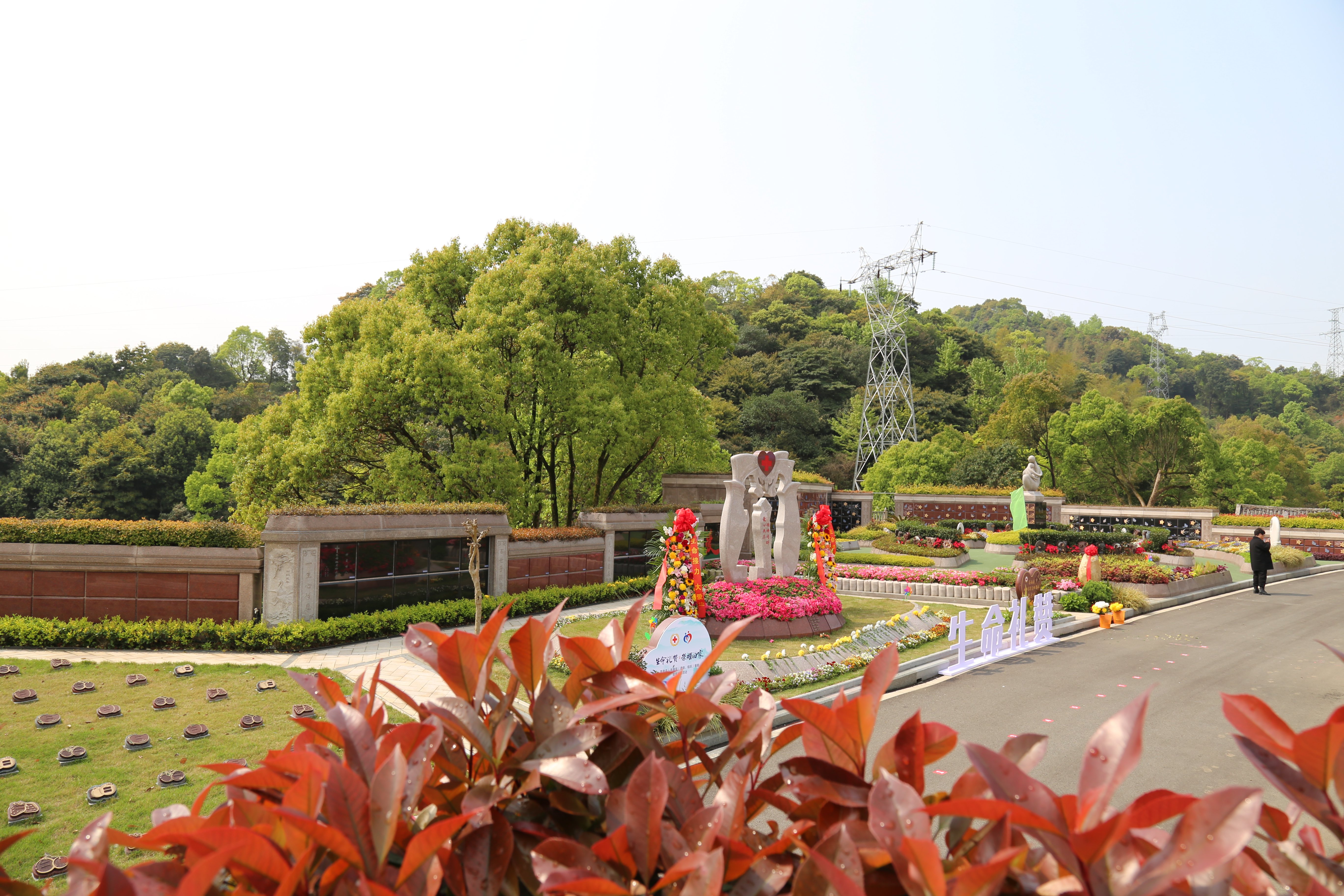 欧博abg(Allbet)官网登录入口