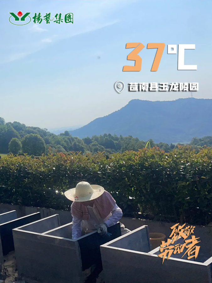 欧博abg(Allbet)官网登录入口