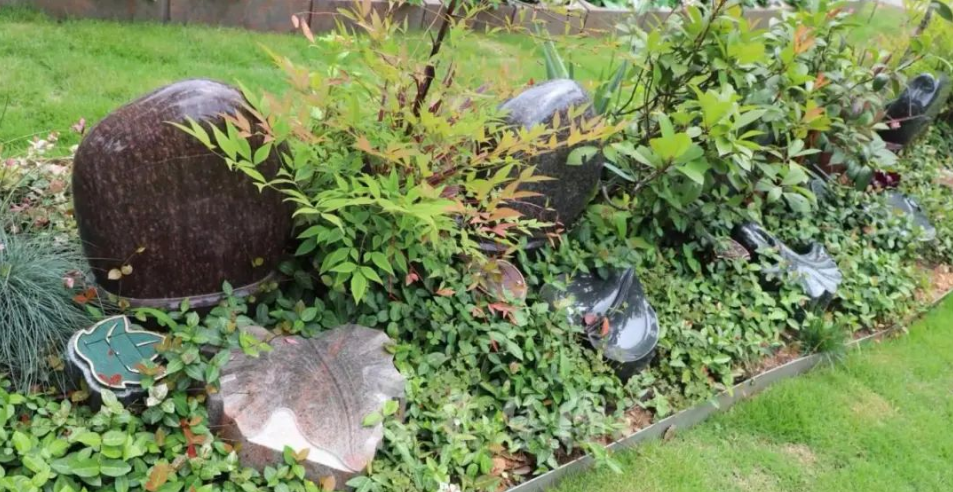 欧博abg(Allbet)官网登录入口