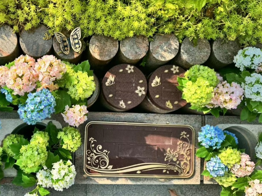 欧博abg(Allbet)官网登录入口