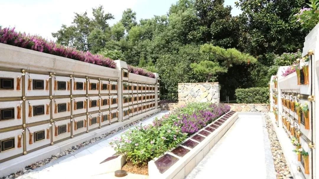 欧博abg(Allbet)官网登录入口