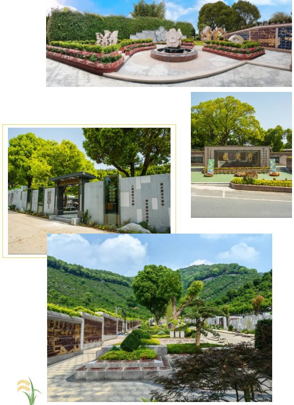 欧博abg(Allbet)官网登录入口