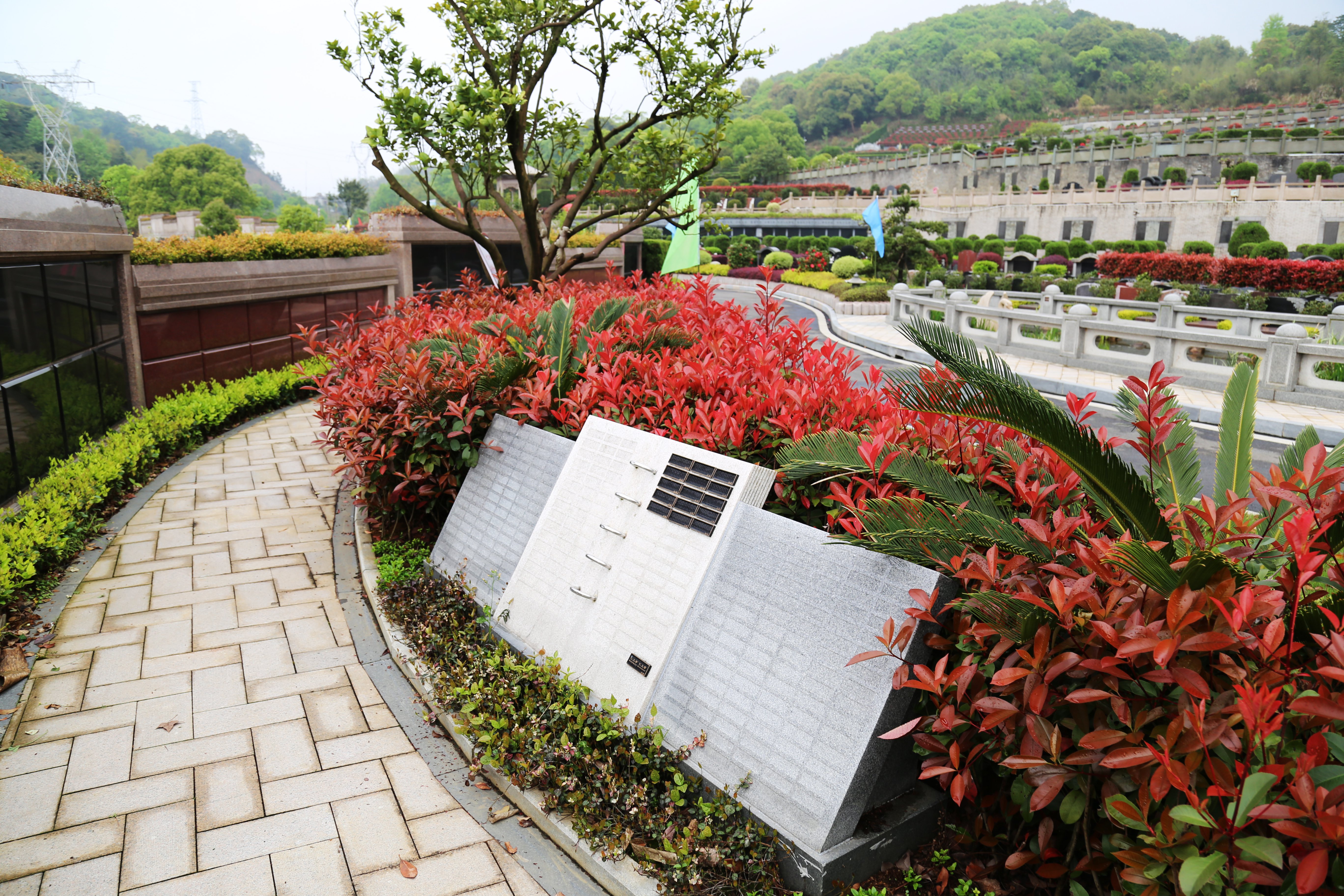 欧博abg(Allbet)官网登录入口