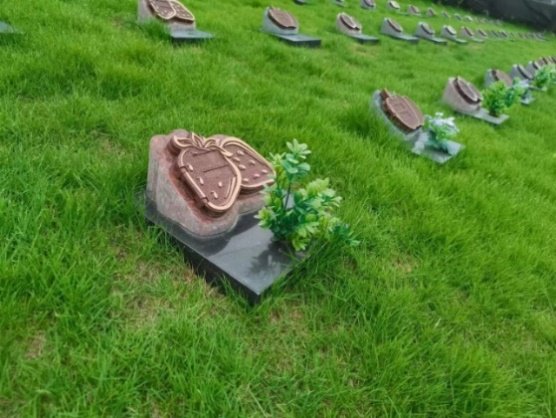 欧博abg(Allbet)官网登录入口