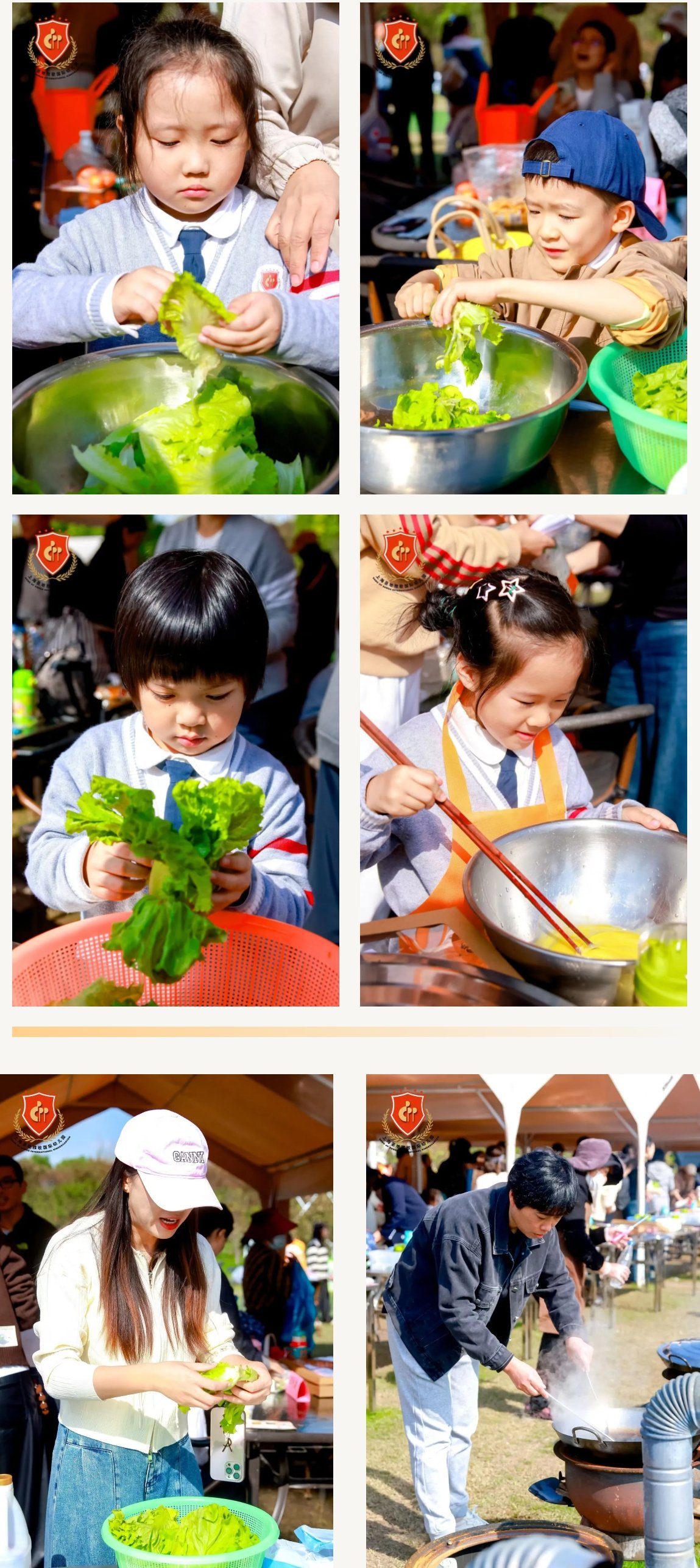 欧博abg(Allbet)官网登录入口