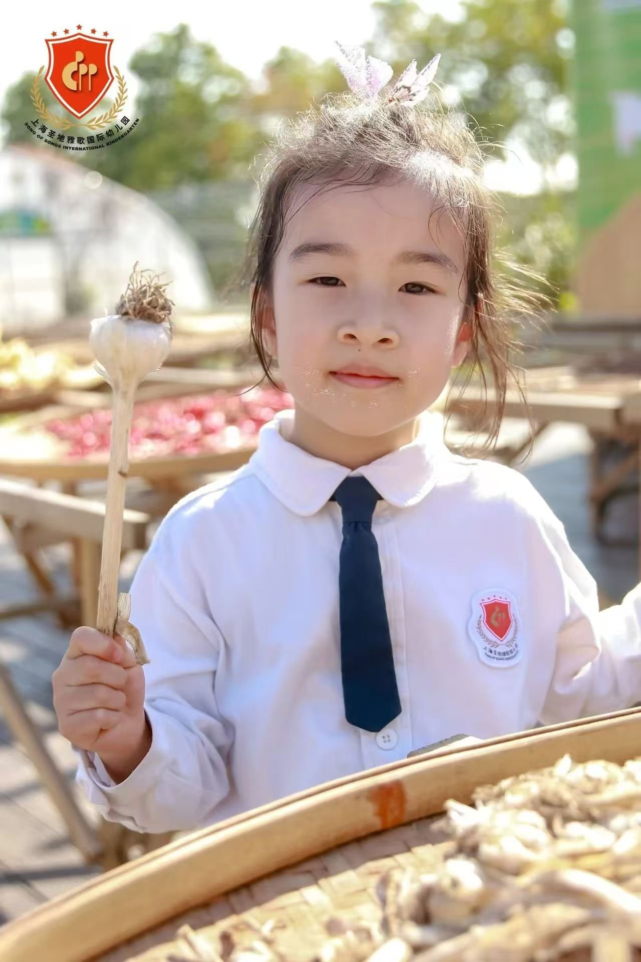 欧博abg(Allbet)官网登录入口