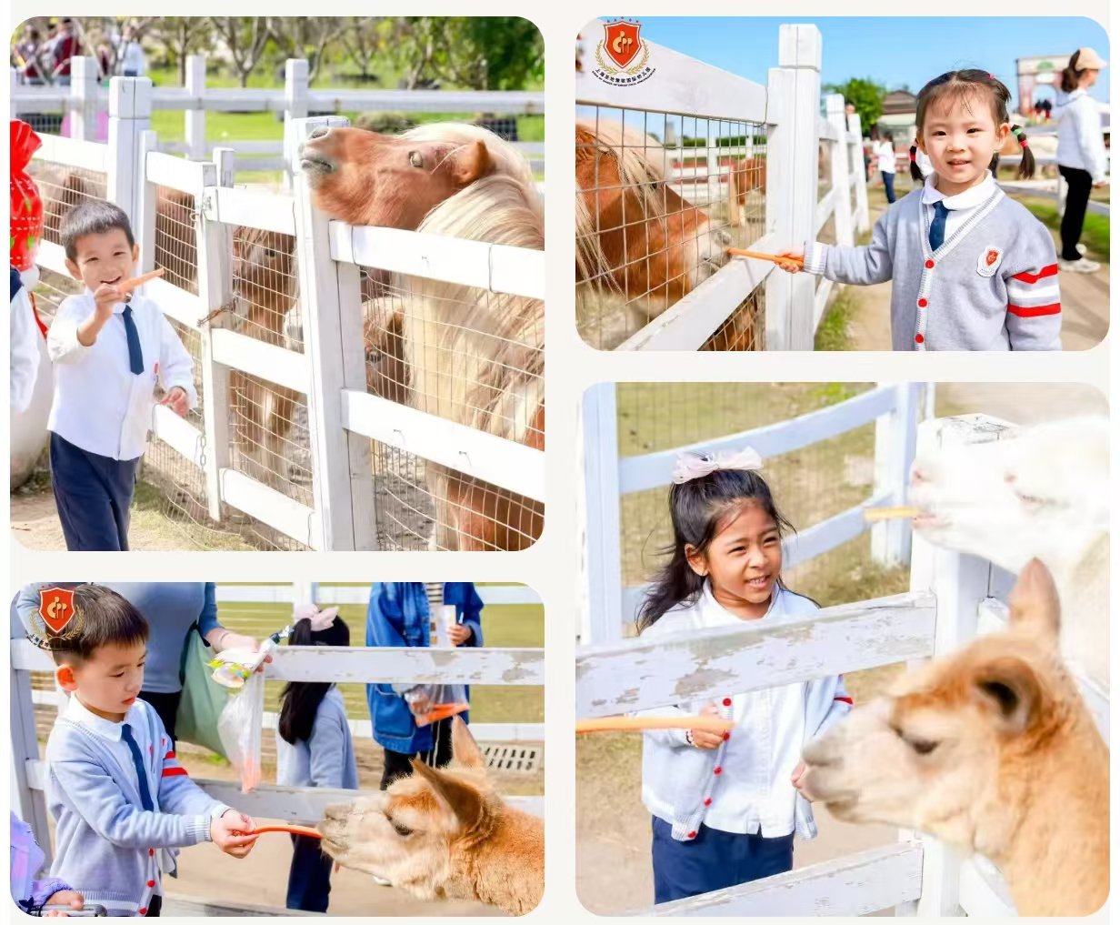 欧博abg(Allbet)官网登录入口