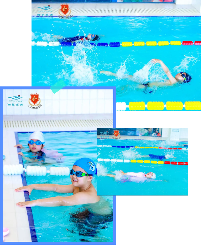 欧博abg(Allbet)官网登录入口