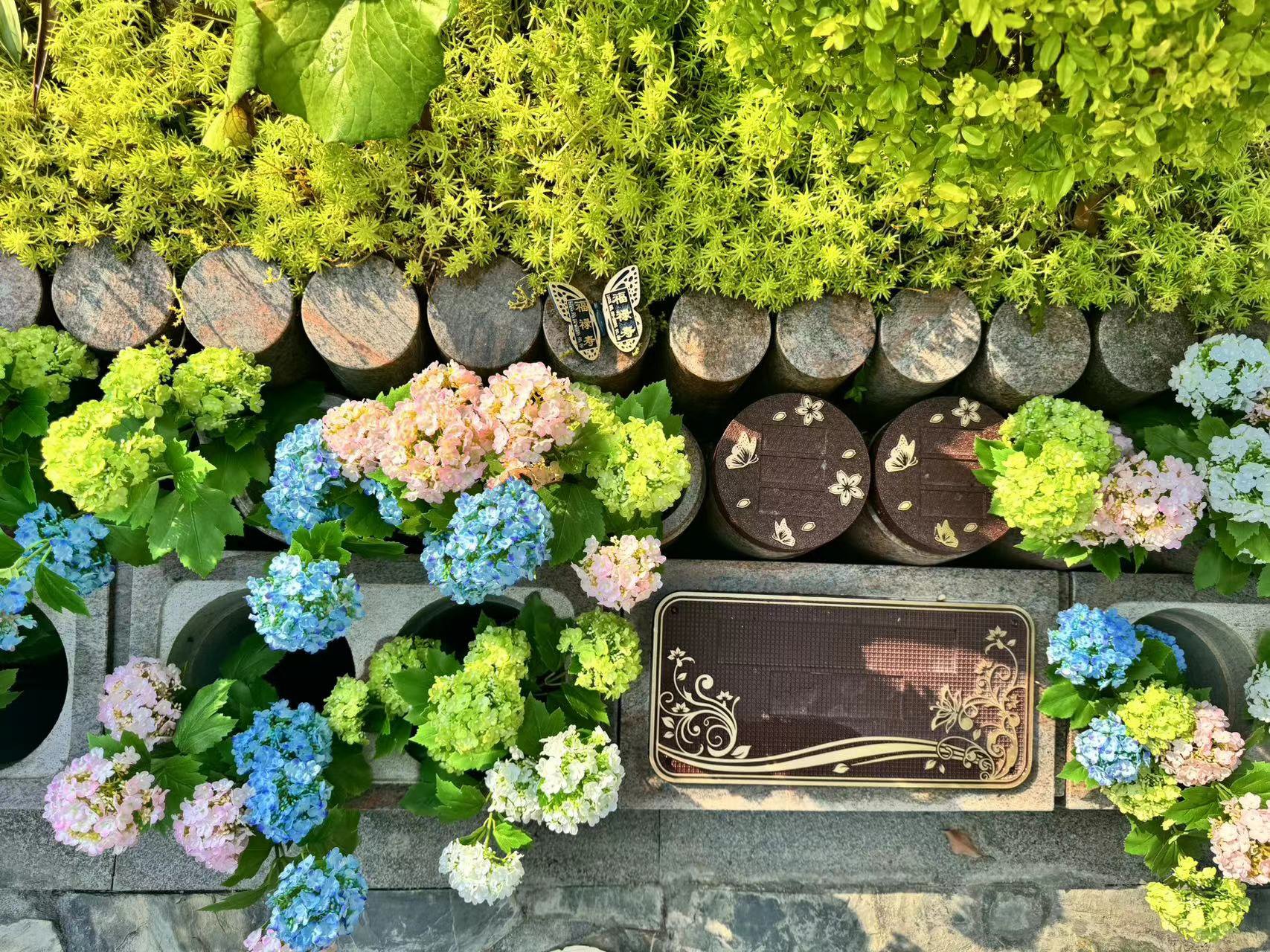 欧博abg(Allbet)官网登录入口