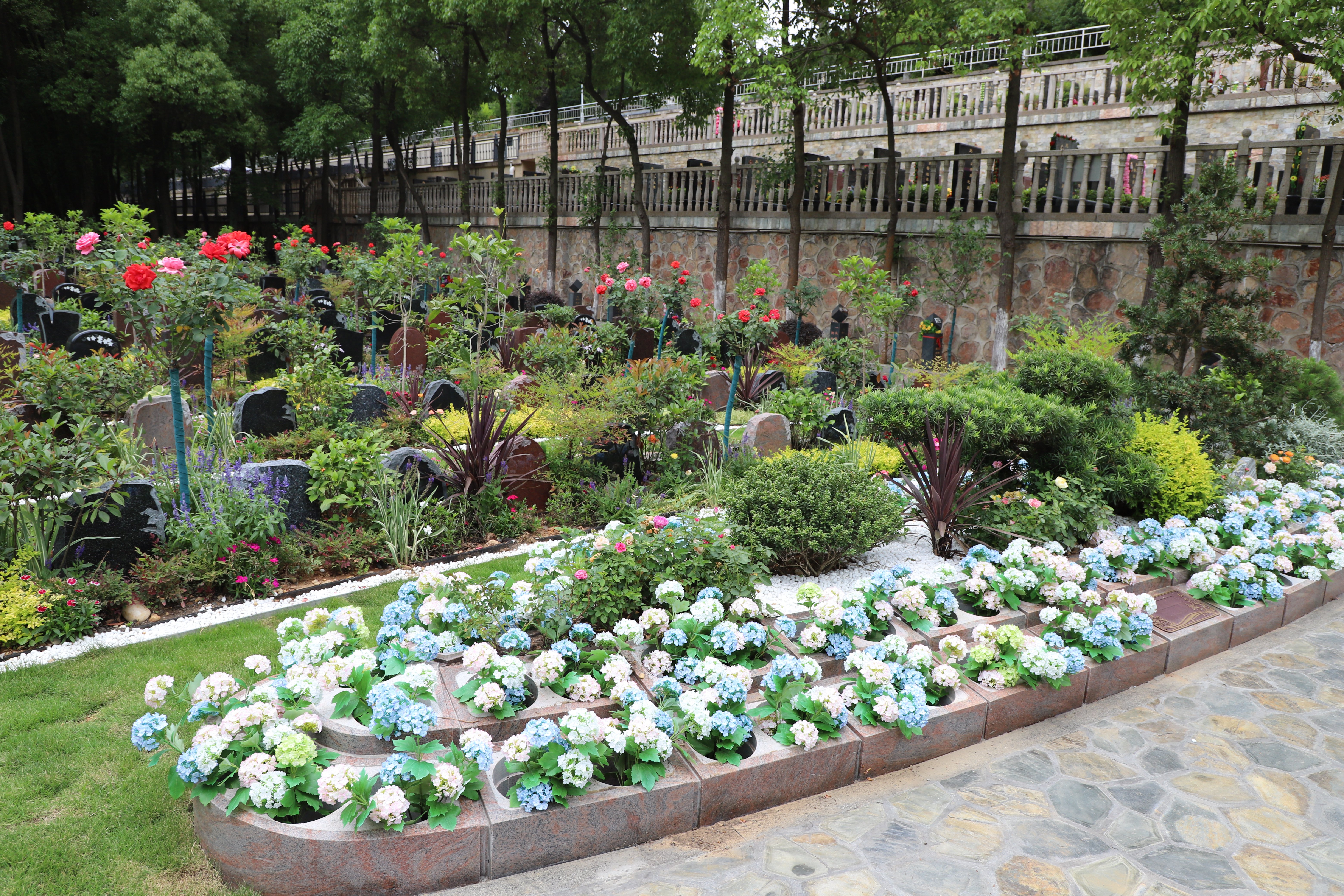 欧博abg(Allbet)官网登录入口