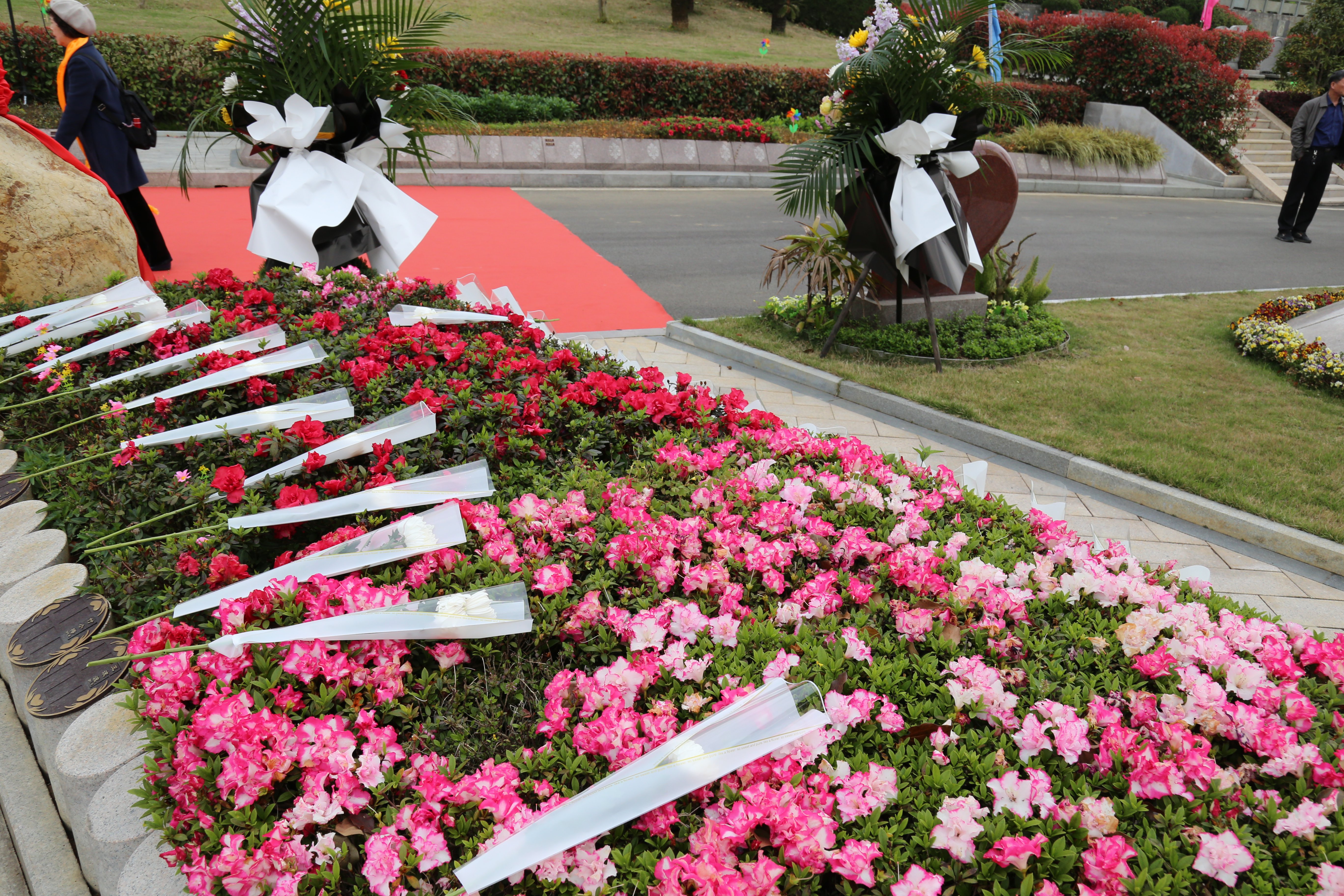 欧博abg(Allbet)官网登录入口