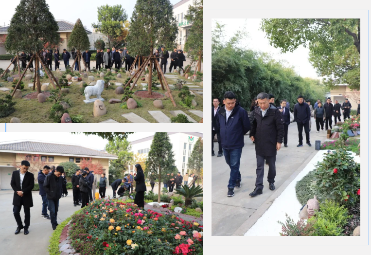 欧博abg(Allbet)官网登录入口