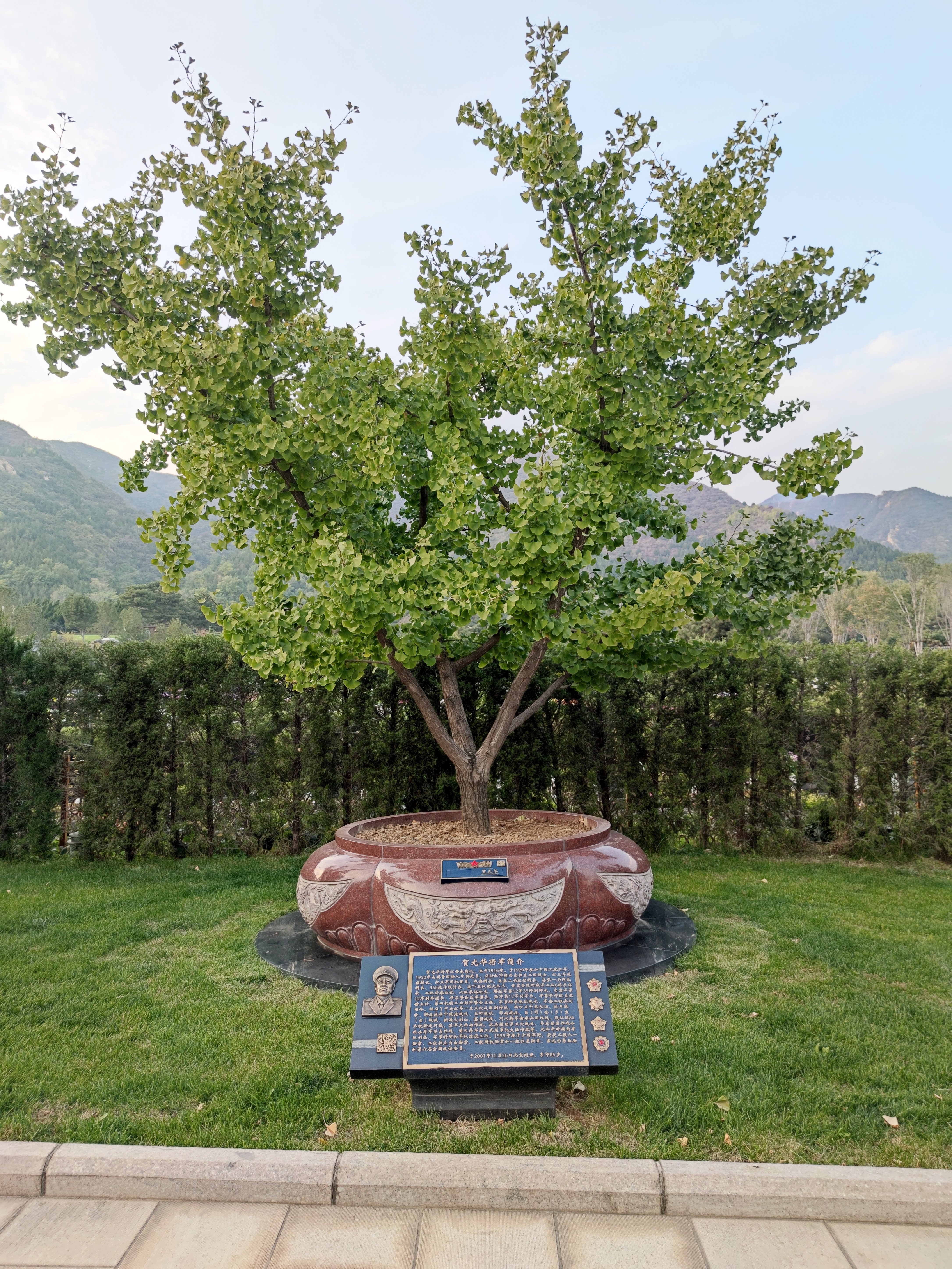 欧博abg(Allbet)官网登录入口