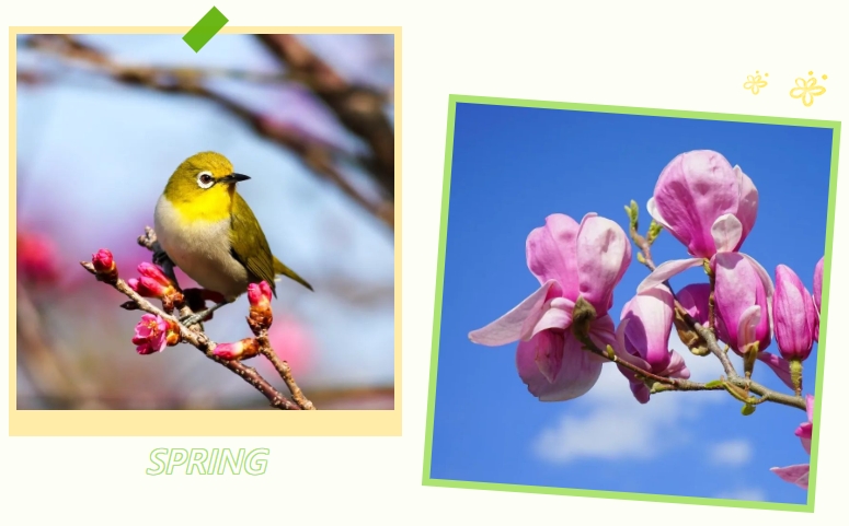 欧博abg(Allbet)官网登录入口