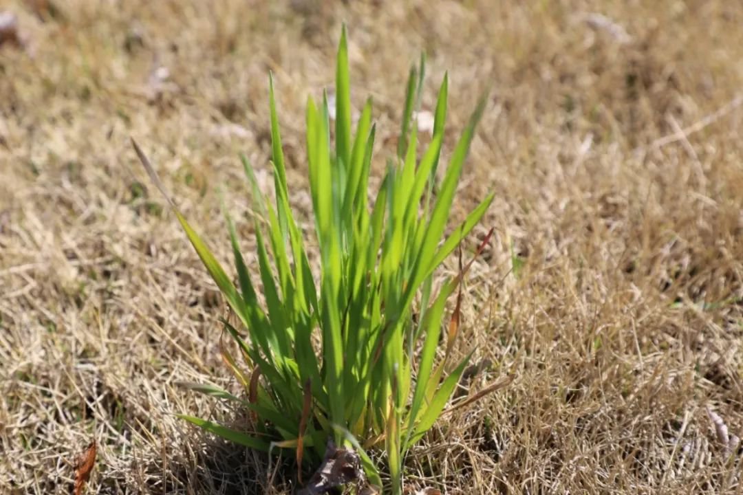 欧博abg(Allbet)官网登录入口