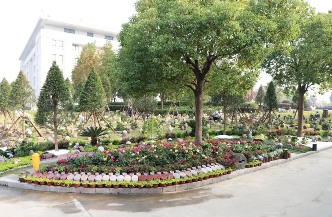 欧博abg(Allbet)官网登录入口