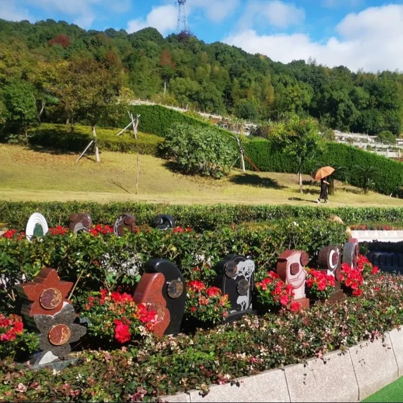 欧博abg(Allbet)官网登录入口