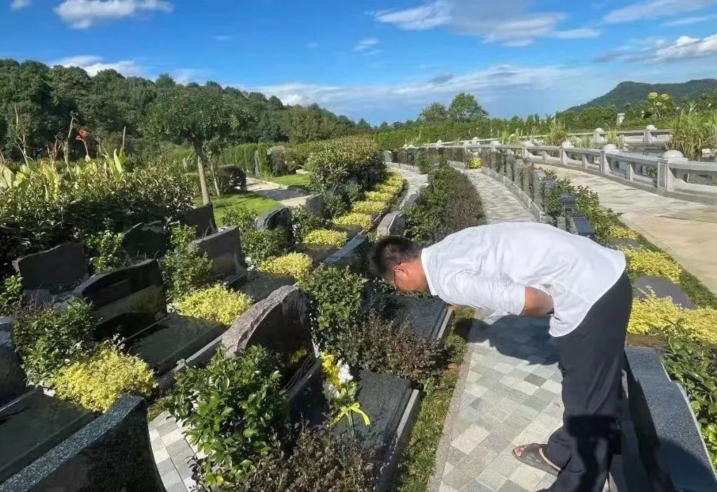 欧博abg(Allbet)官网登录入口