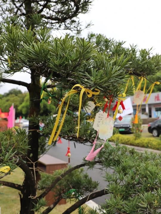 欧博abg(Allbet)官网登录入口