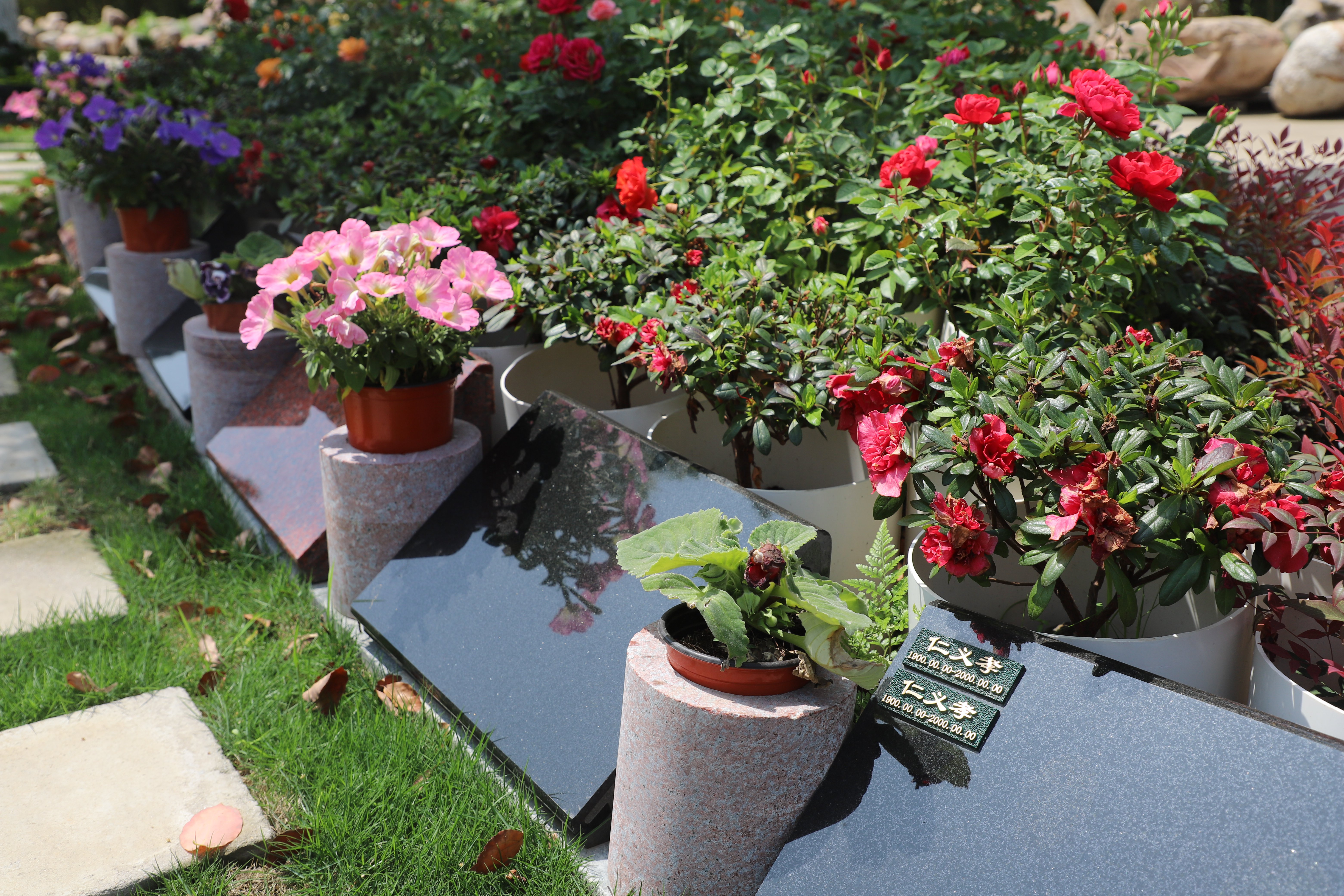 欧博abg(Allbet)官网登录入口