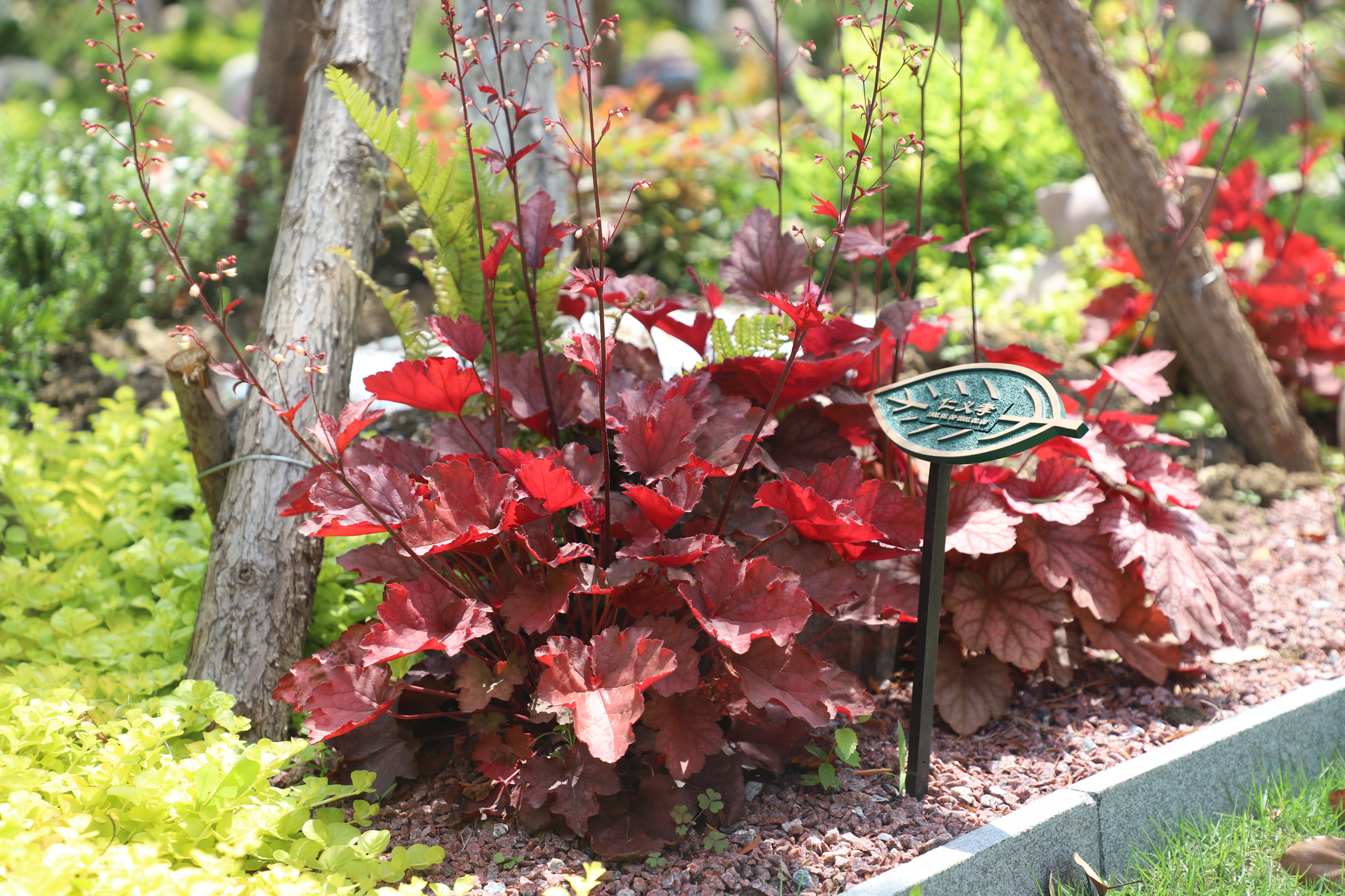 欧博abg(Allbet)官网登录入口