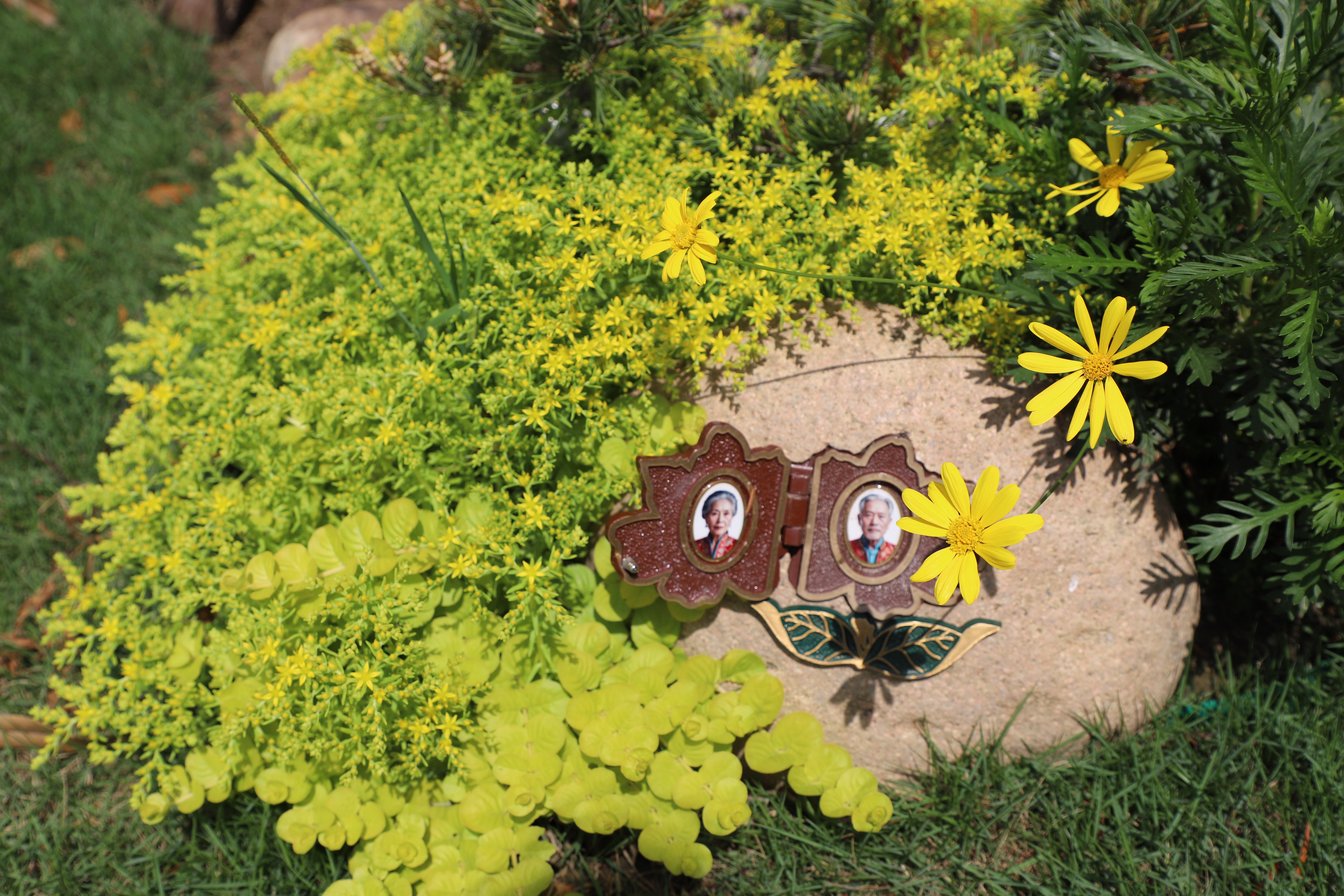 欧博abg(Allbet)官网登录入口