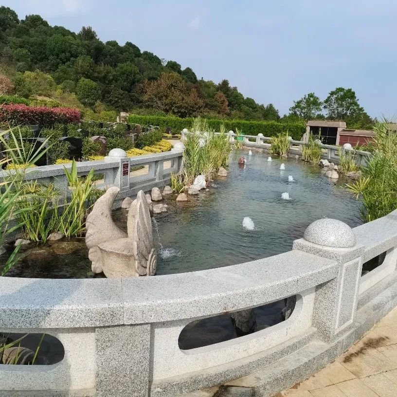 欧博abg(Allbet)官网登录入口