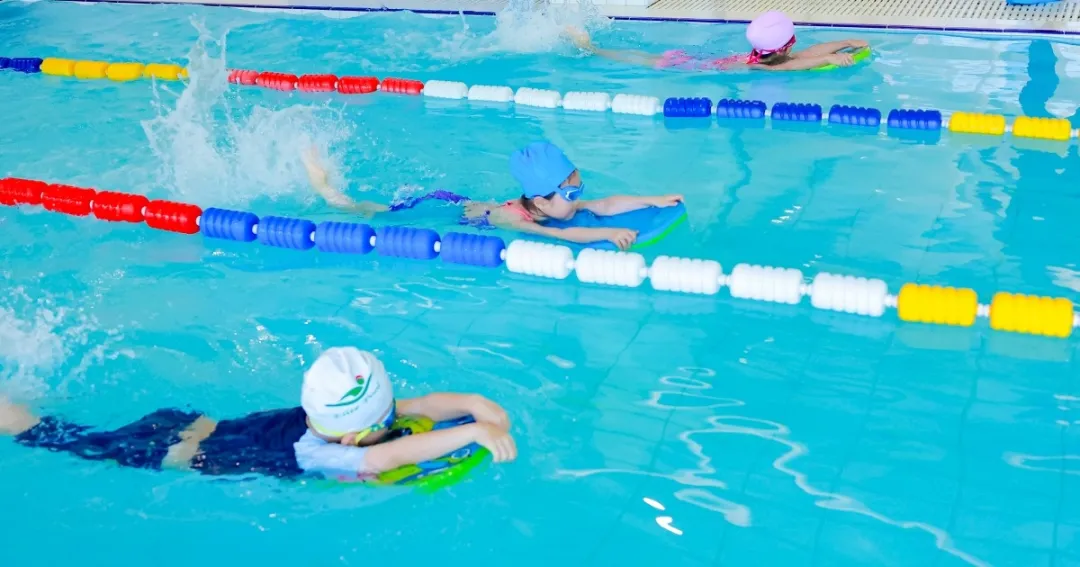 欧博abg(Allbet)官网登录入口