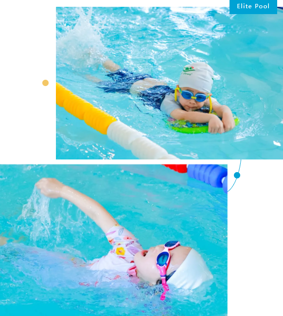 欧博abg(Allbet)官网登录入口