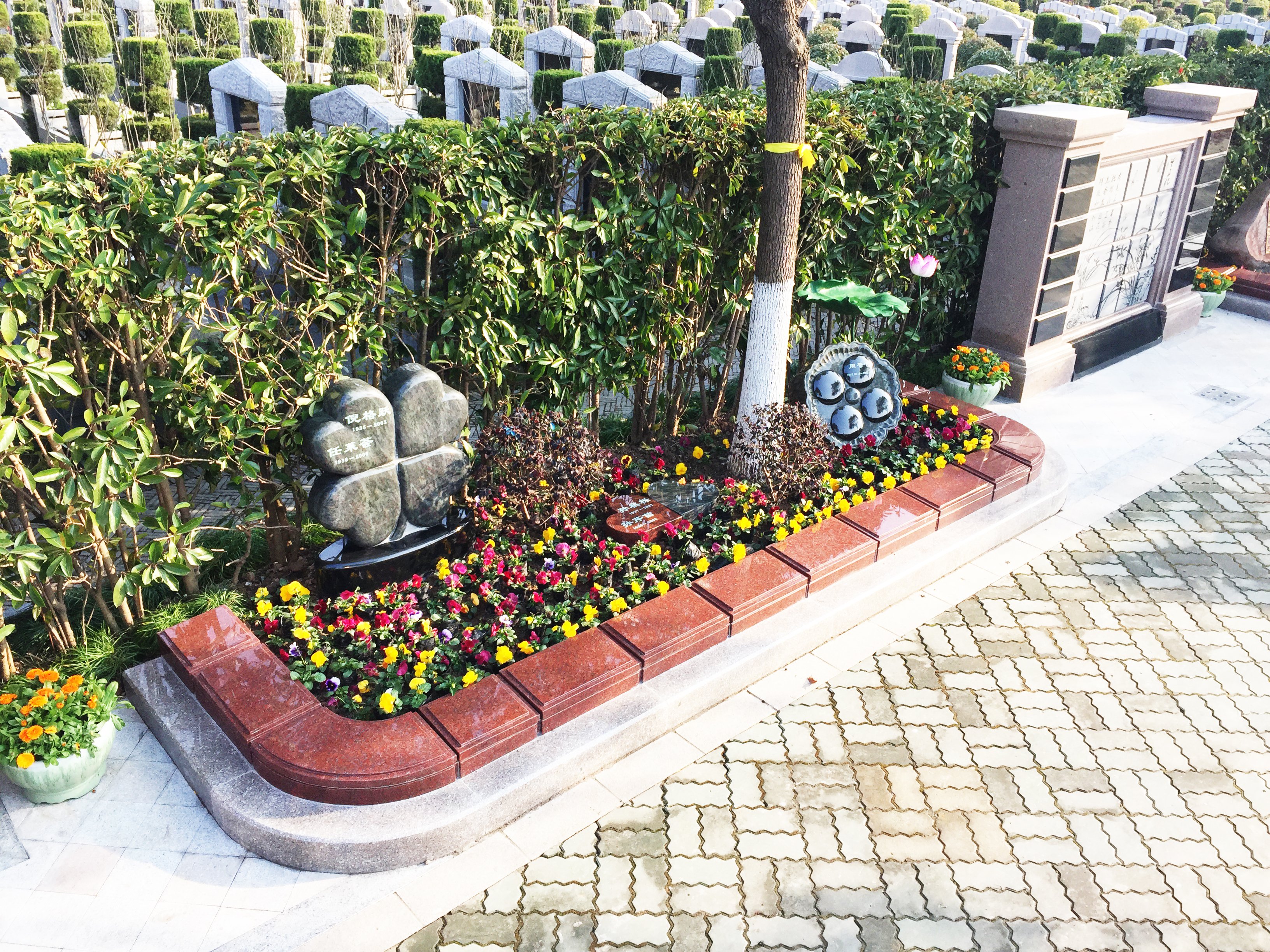 欧博abg(Allbet)官网登录入口