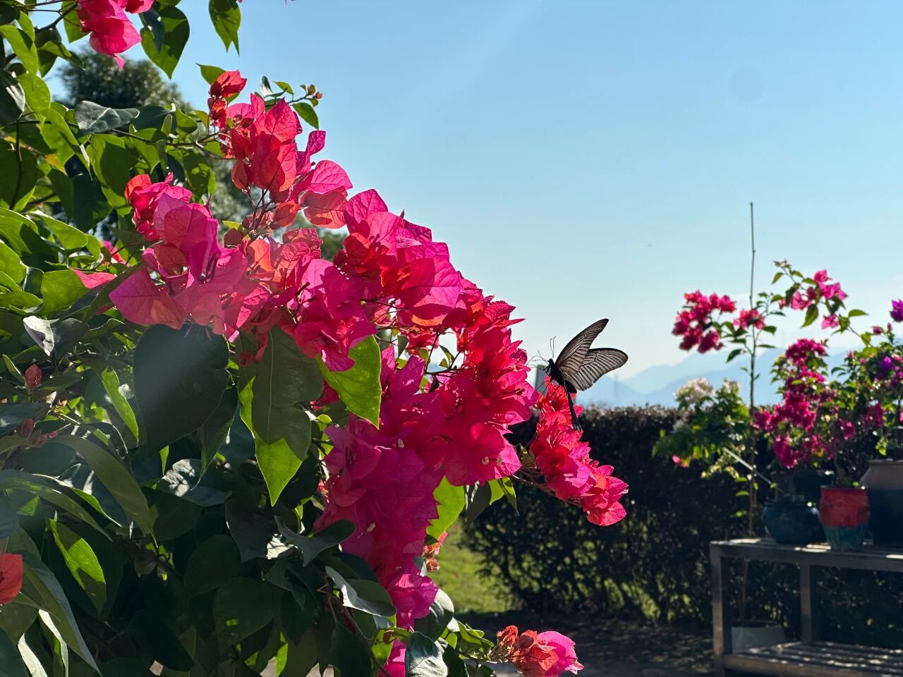 欧博abg(Allbet)官网登录入口