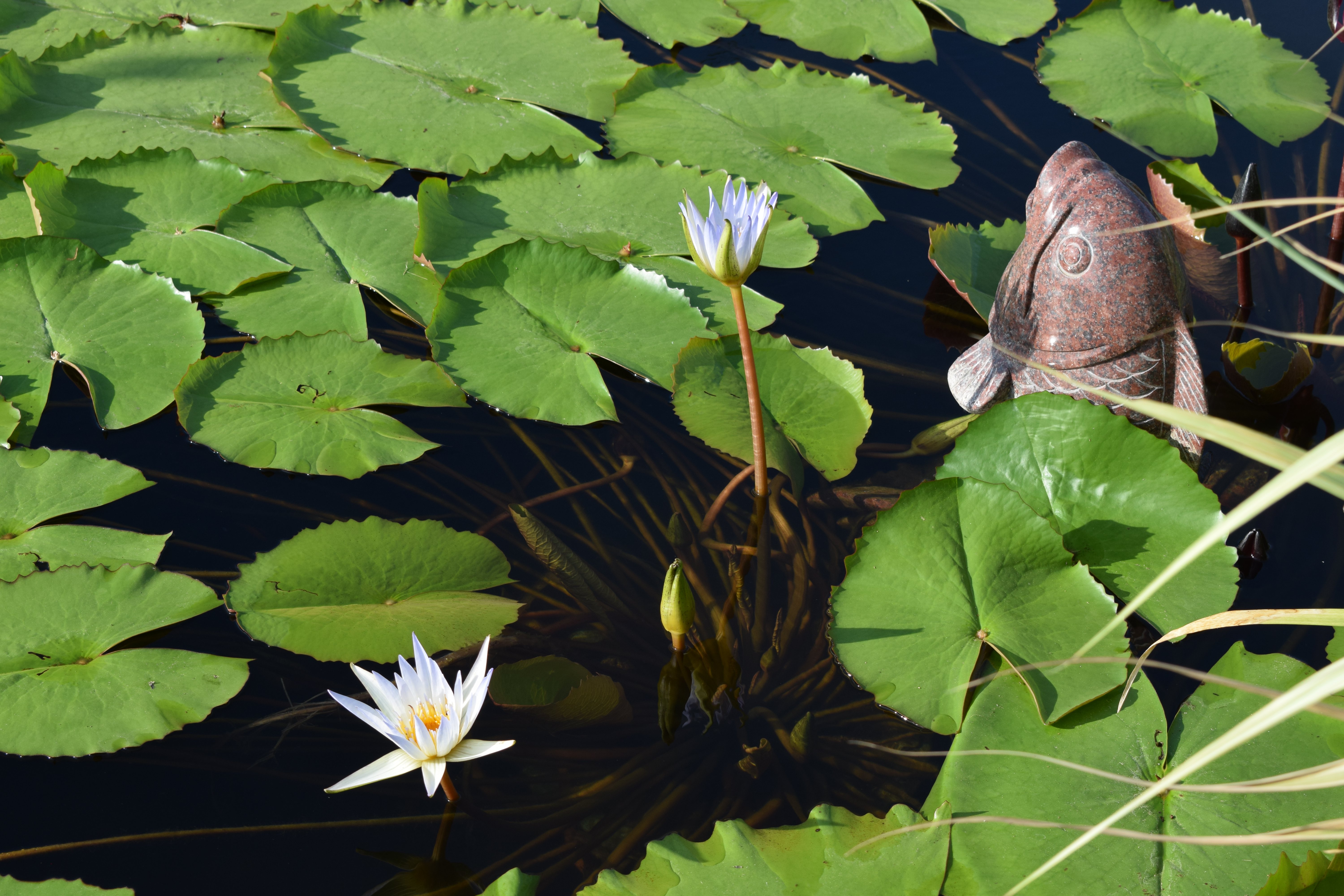 欧博abg(Allbet)官网登录入口