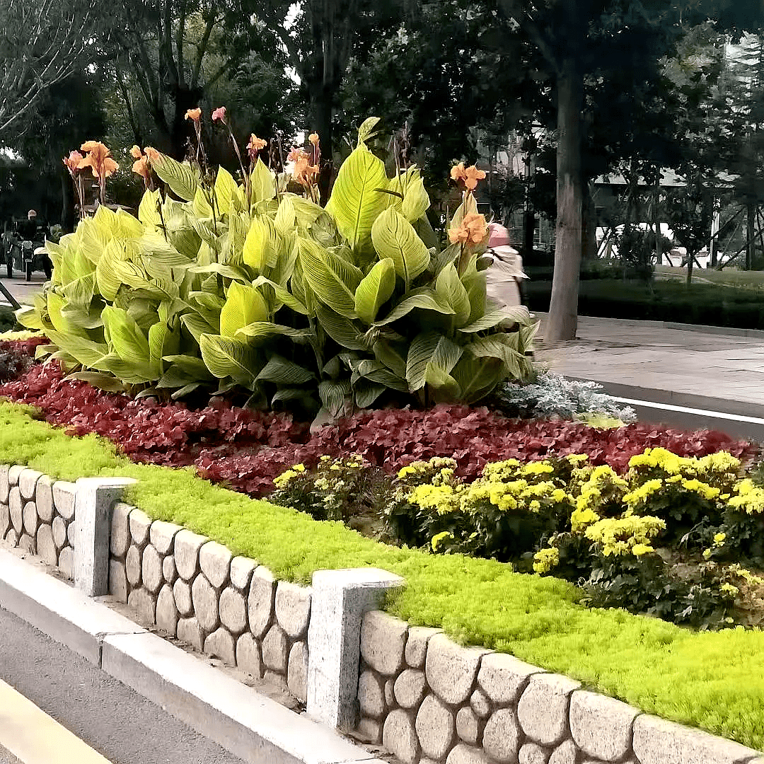 欧博abg(Allbet)官网登录入口